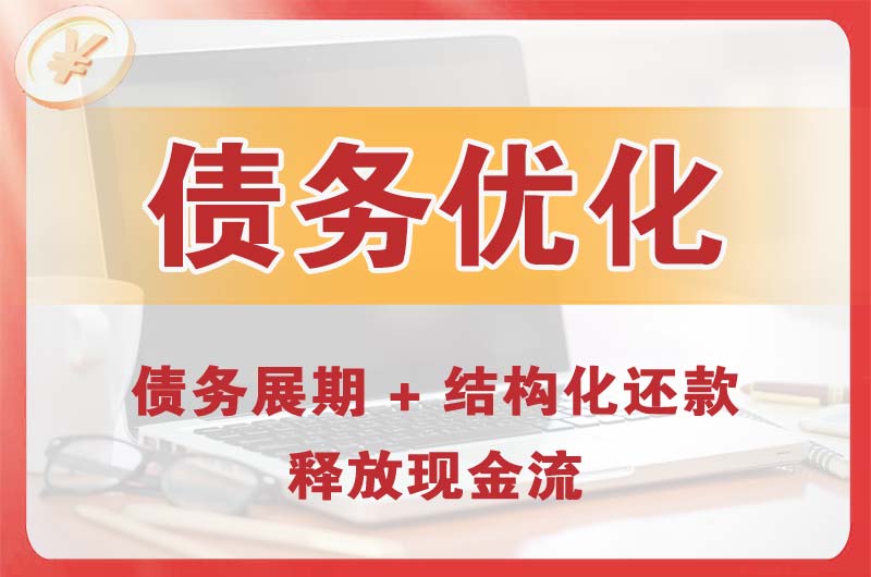 龙胜债务优化